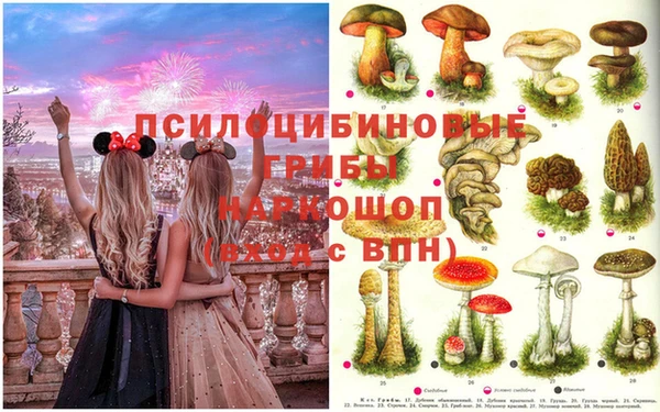 трава Алзамай