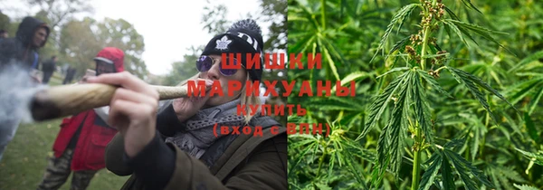 трава Алзамай