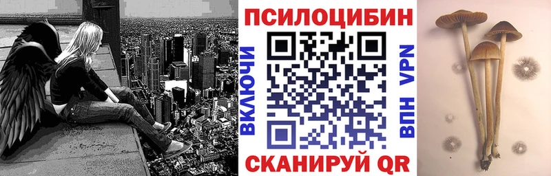 Галлюциногенные грибы MAGIC MUSHROOMS  купить   Чёрмоз 